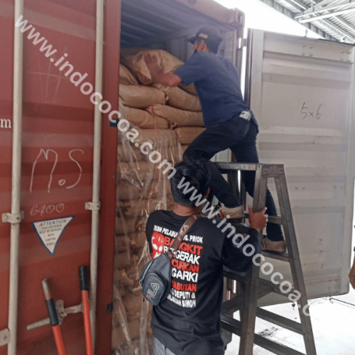 natural and alkalized cocoa powder for pakistan and india