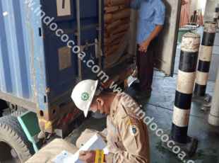 cocoa powder for australia and thailand market best price